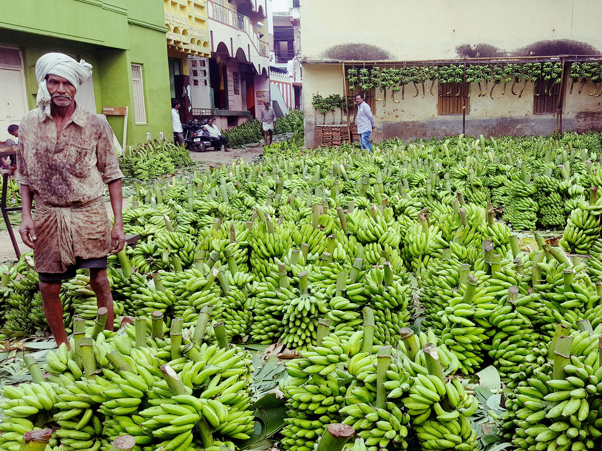 Man wearing a turban in a large banana market in India