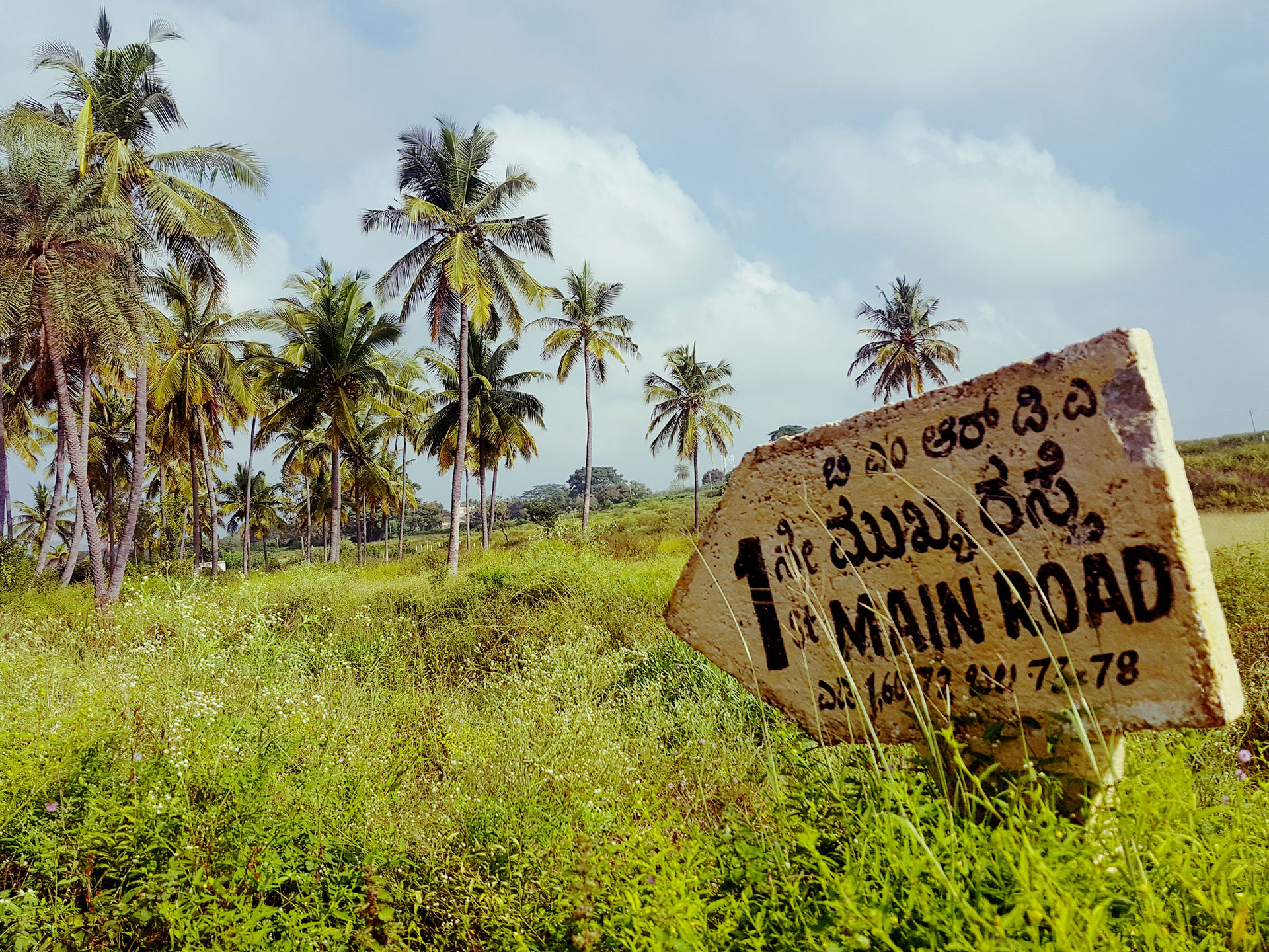 Road sign and palm trees in India