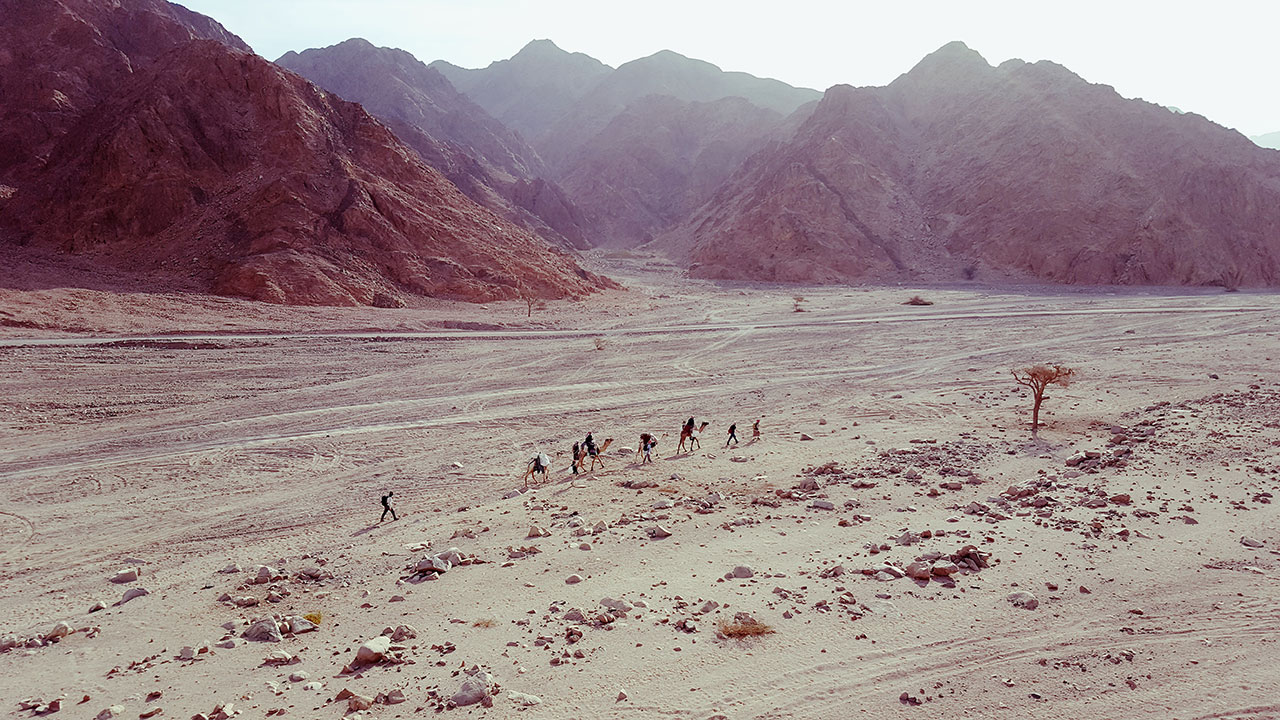 Lois Pryce and friends walking with camels through the desert