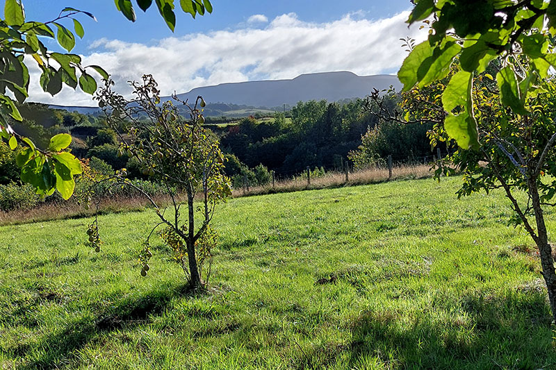 View across Ants Bolingbroke-Kent's orchard to the Black Mountains in Wales where adventure author Lois Pryce is teaching a writing course